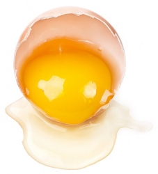 Лечение куриным яйцом всех болезней в домашних условиях