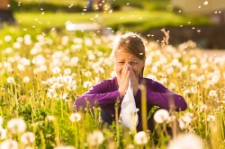 Цветочная аллергия, сенная лихорадка, поллиноз